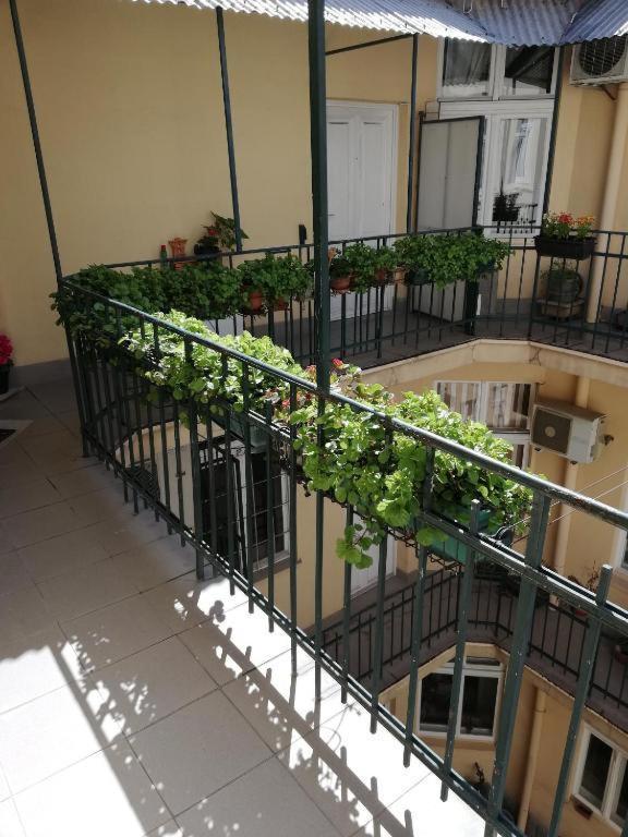 Oaza 26 Deo 2 Apartamento Belgrado Exterior foto